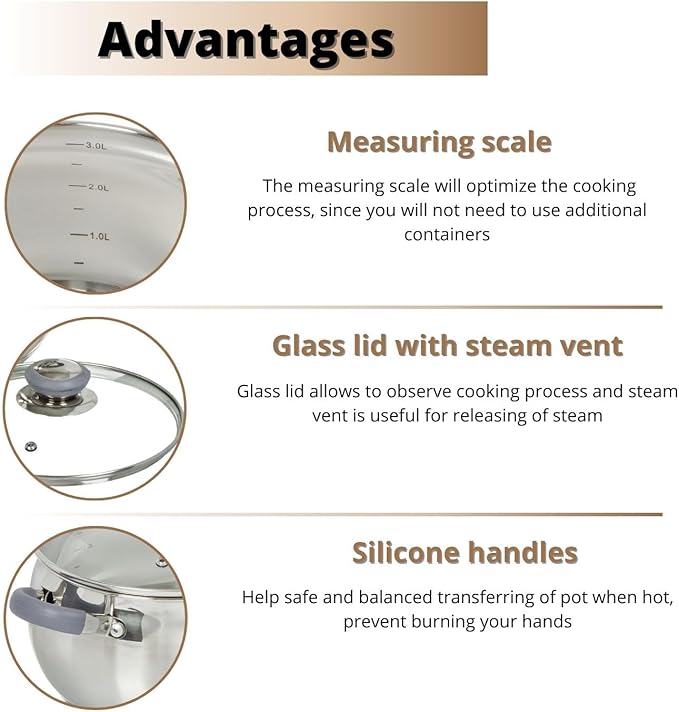 Daniks Modern Stainless Steel Stock Pot with Glass Lid – Induction 3 Quart, Dishwasher Safe, Heatproof Handles, For Soup, Pasta, Stew, Silver