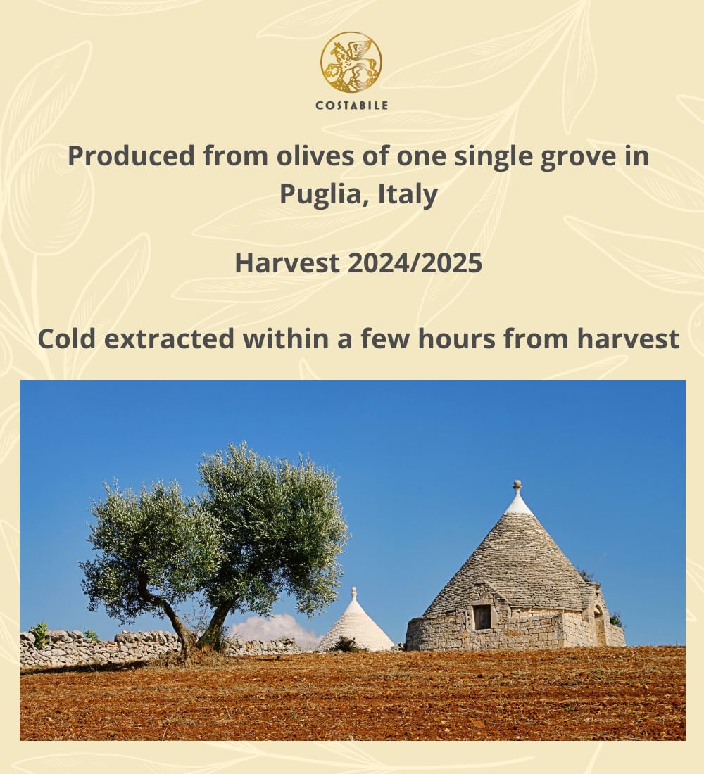 Costabile Butter Infused Olive Oil, Italian Extra Virgin EVOO with Natural Flavor for Cooking, Baking & Popcorn Topping 16.9 Fl. Oz.