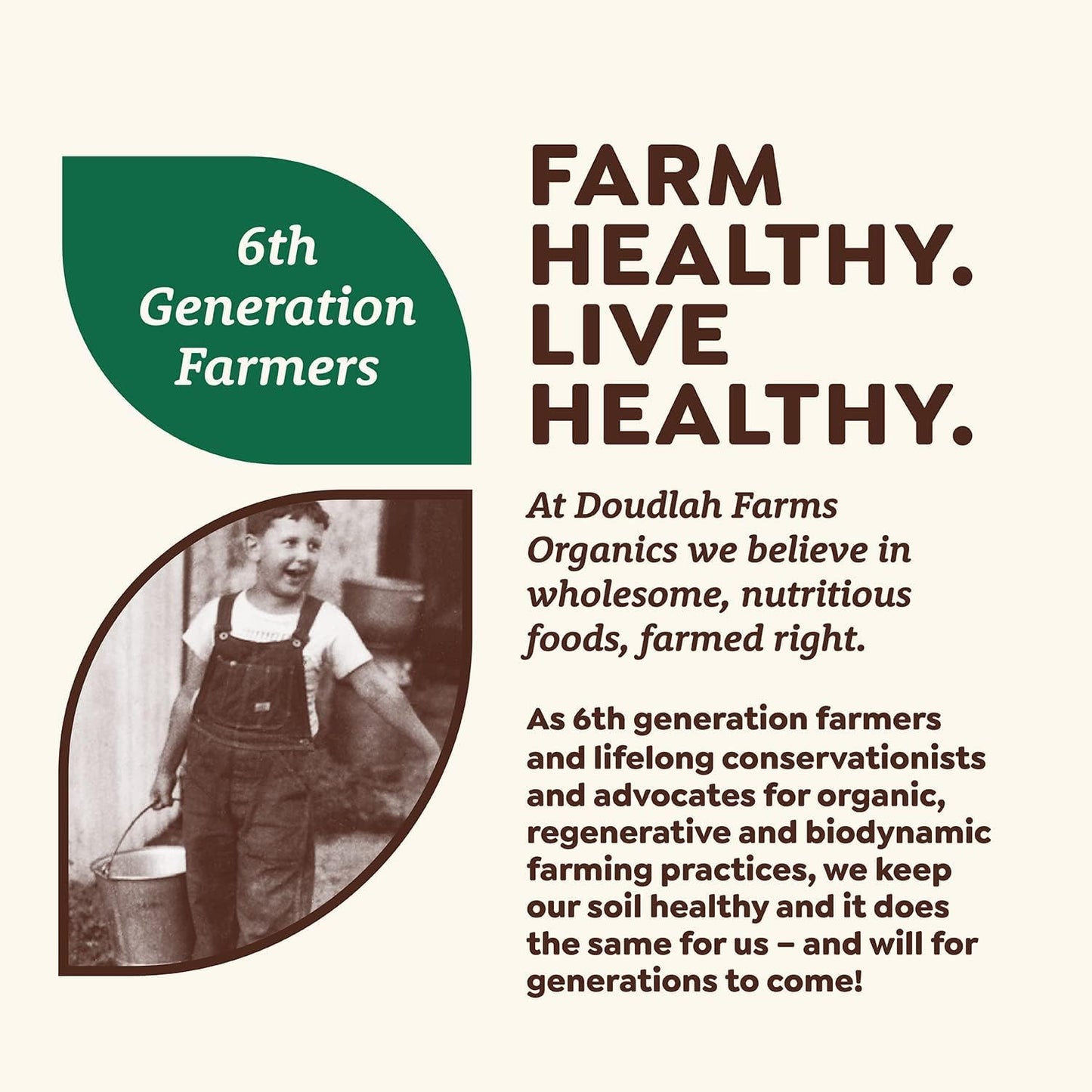 Organic Buckwheat Flour 25 lb Bulk - Non-GMO, USDA Organic, Gluten Free, Vegan - For Baking Bread, Pancakes, and More! Grown In USA, Farmed From Regenerative Soil by Doudlah Farms