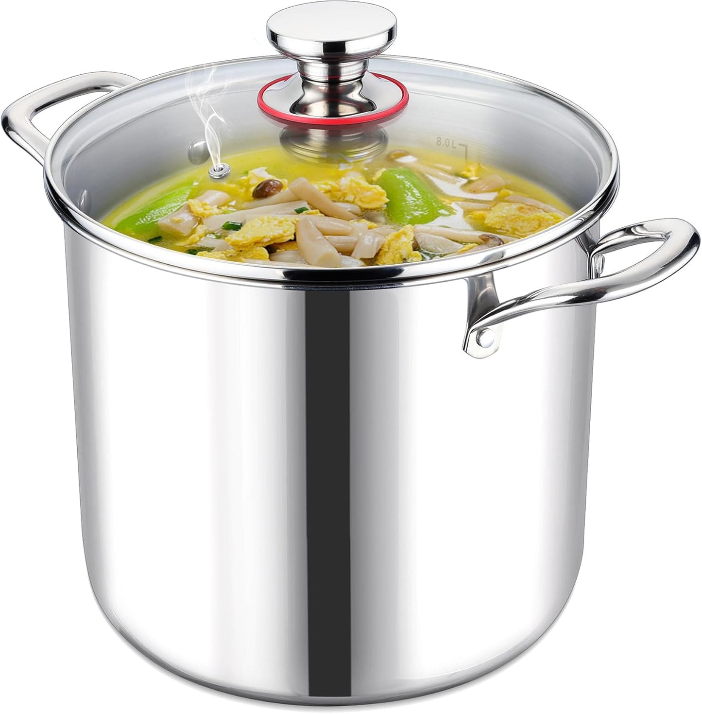 LIANYU 10 Quart Pot with Lid, 10QT Tri-Ply Heavy Duty Stock Pot, 18/10 Stainless Steel Stockpot, Canning Pasta Cooking Stockpot for Induction, Gas&Electric Cooktops, Visible Lid