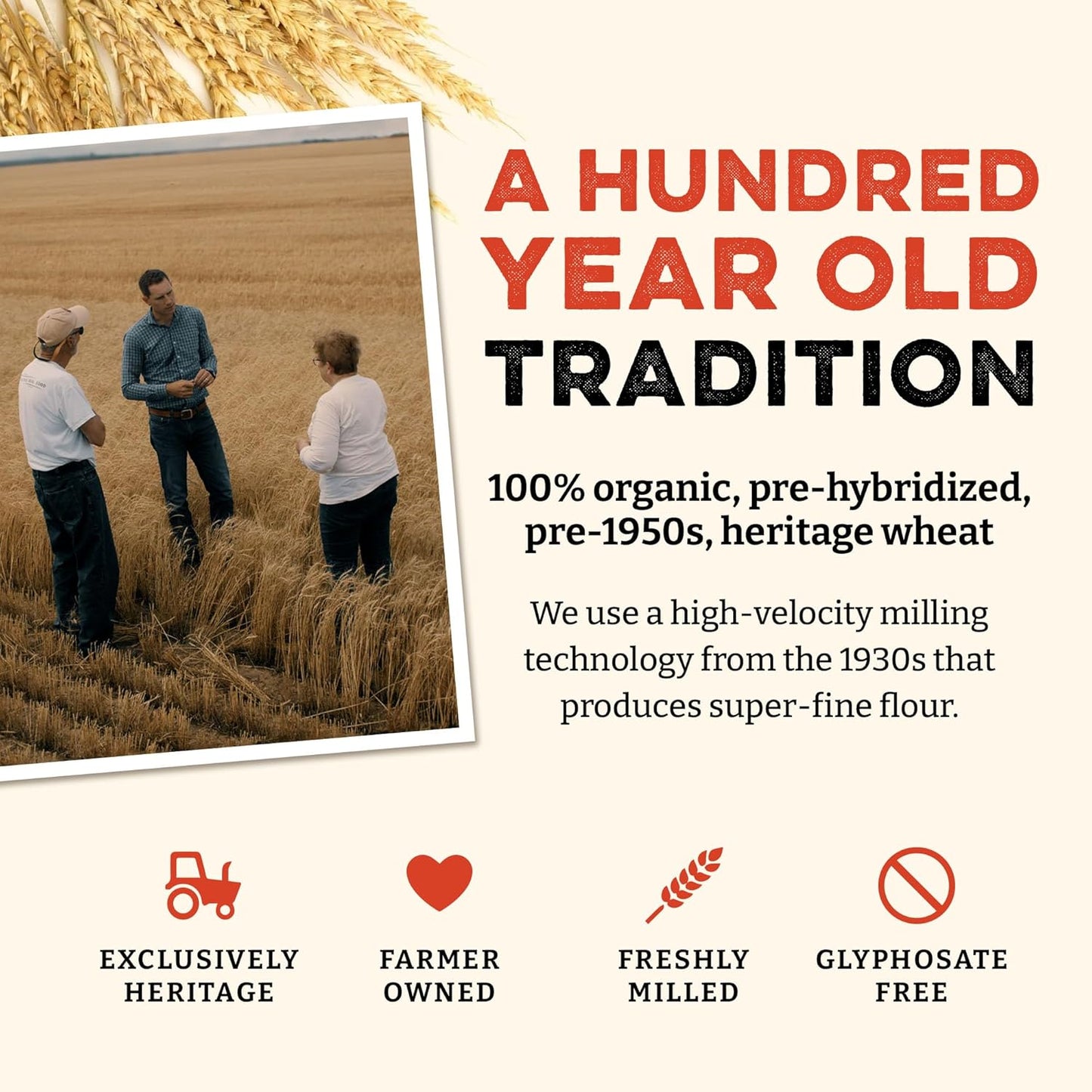 Sunrise Flour Mill Heritage Organic White Flour | USDA Organic All Purpose Flour Unbleached - Non-GMO, Kosher, Glyphosate Free, High Protein for Baking, Unbromated White Wheat (400 Ounce (Pack of 1))