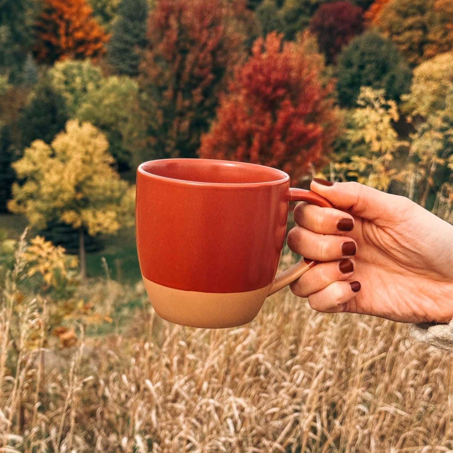 Mora Ceramic Artisan Matte Large Latte Mug Set of 4, 16oz - Microwavable, Porcelain Coffee Cups With Big Handle - Modern, Boho, Unique Style For Any Kitchen. Microwave Safe Stoneware - Marina Colors