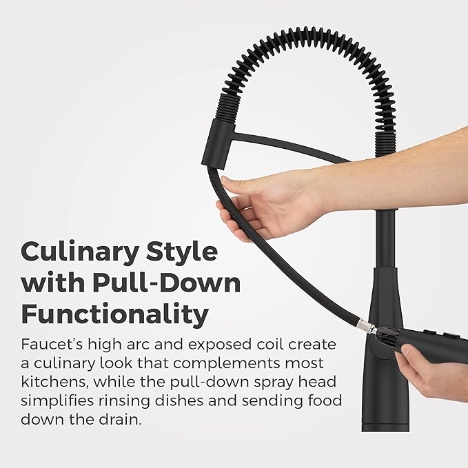Pfister Kwan Culinary Kitchen Faucet in Matte Black