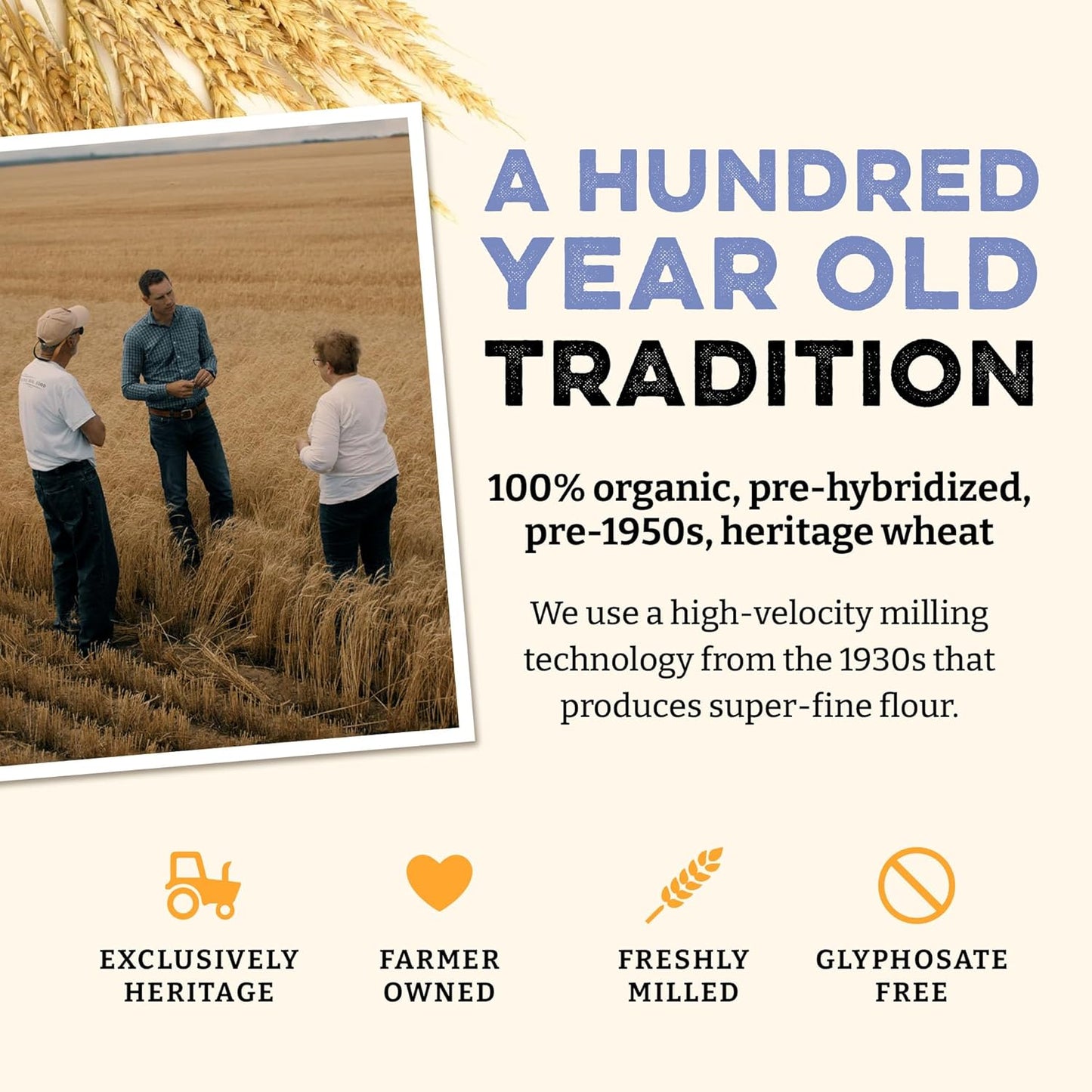 Sunrise Flour Mill USDA Organic Heritage Pasta Flour - 2 lbs | Milled from Hard Red Wheat | Easier to Digest with Less Bloating | No Bleaching or Bromating | Zero Additives