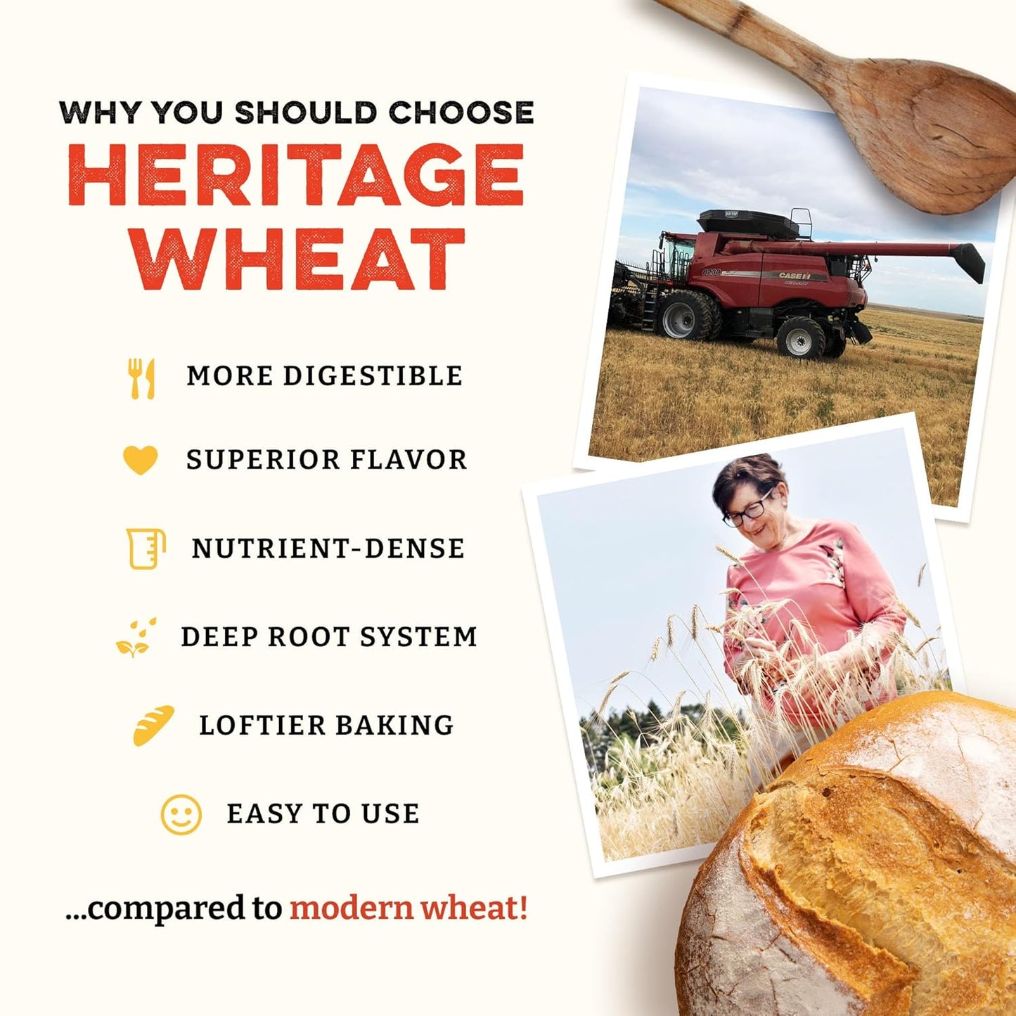 Sunrise Flour Mill Heritage Organic Bread Flour Blend - 5 lbs | Organic Unbleached Bread Flour Easy to Digest with Less Bloating | High Protein, Superior Baking | Smooth, Nutty Flavor
