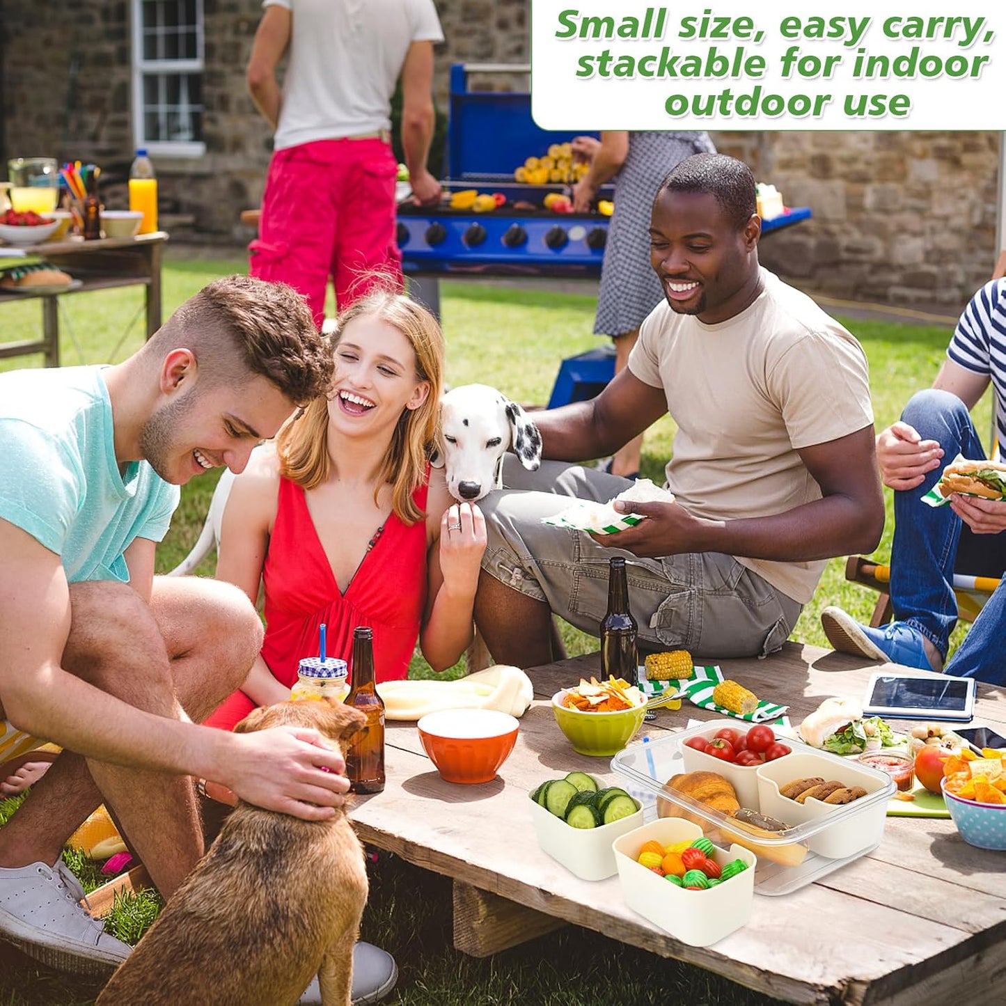 4 Compartment Snack Box Container Tray, Divided Serving Tray with Lid, Mini Small Snackle Box, Portable Charcuterie Container for Party, Picnic, Travel, Food Platter for Snack, Fruits, Veggies