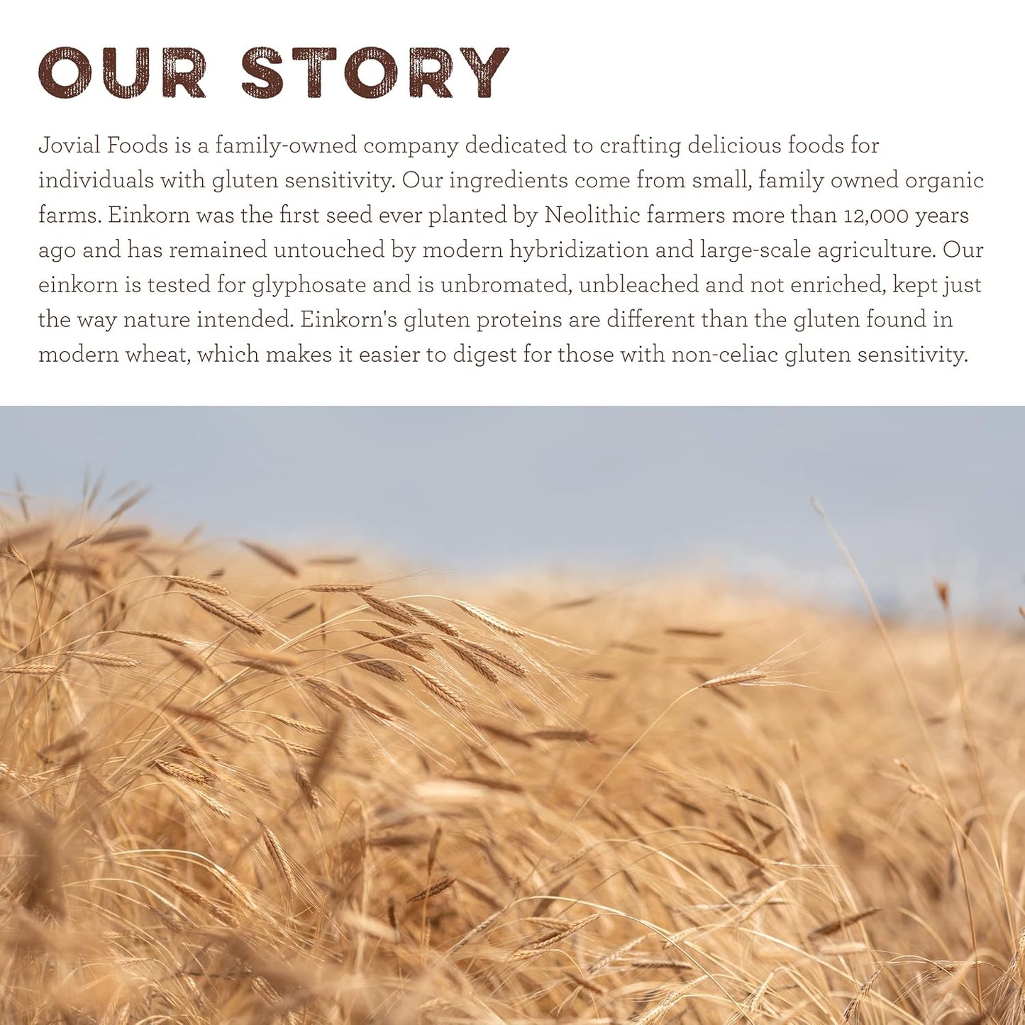 Jovial Organic Einkorn Unbleached All Purpose Flour - Bread Baking Flour for Sourdough, High Protein, Non-GMO, Organic Pizza & Pasta, European Italian, Glyphosate Free - 32 Oz, 3 Pack