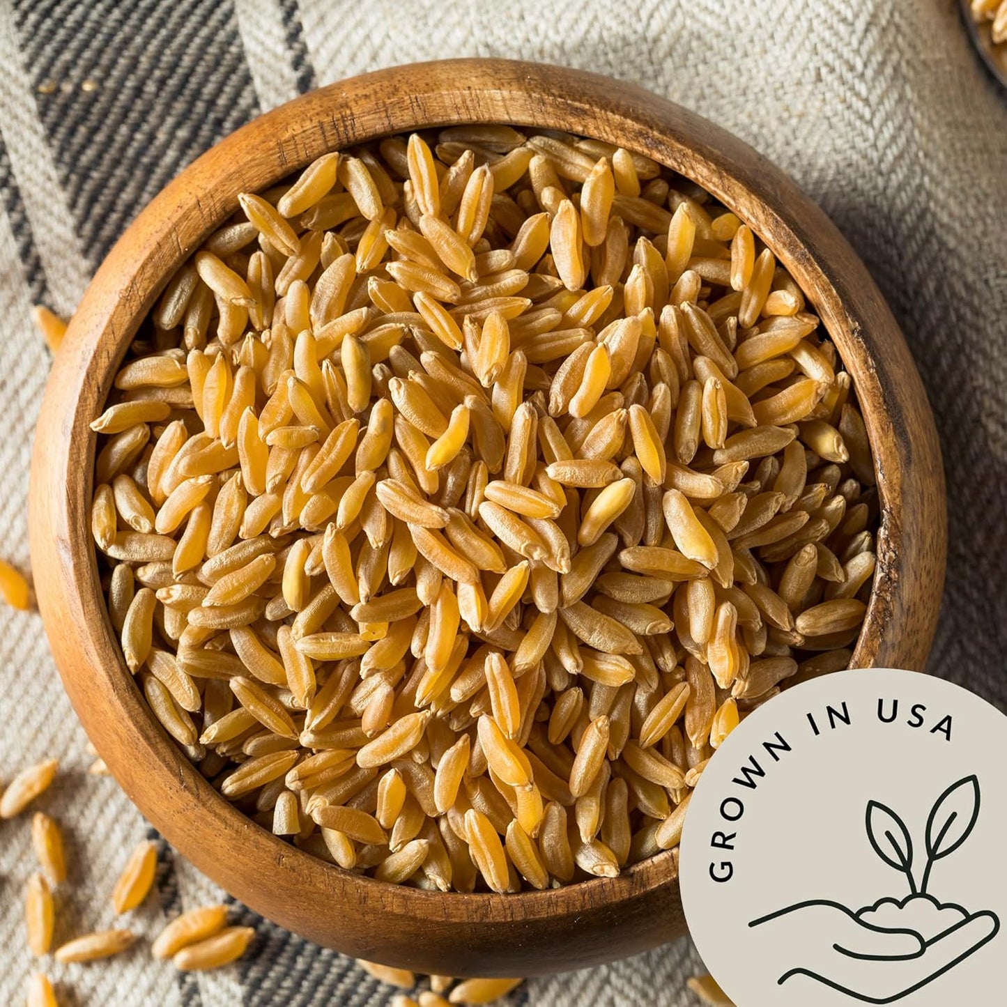 Be Still Farms Organic Kamut Wheat Berries Khorasan (4.8lb) - Ancient Whole Grain Bulk - Ideal for Flour, Pasta, Salads, Soups - High in Fiber & Protein | USA Grown | USDA Certified | Vegan | Non-GMO