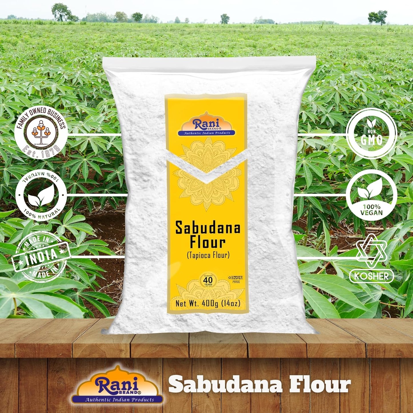 Rani Sabudana Flour (Tapioca/Sago Flour) 14oz (400g) ~ All Natural | Vegan | Gluten Friendly | NON-GMO | Kosher | Indian Origin